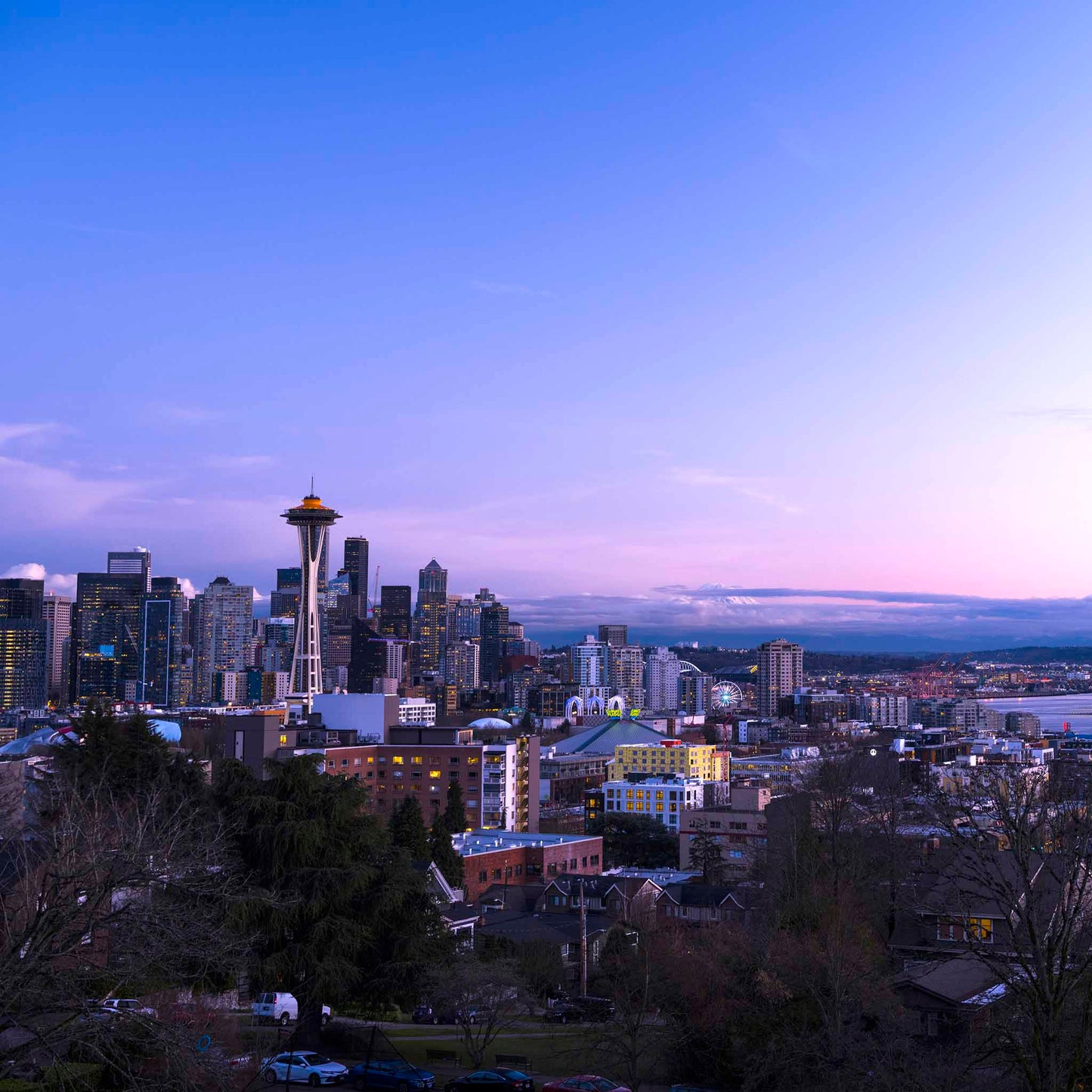 Seattle Space Needle and Mt. Tahoma Shower Curtain