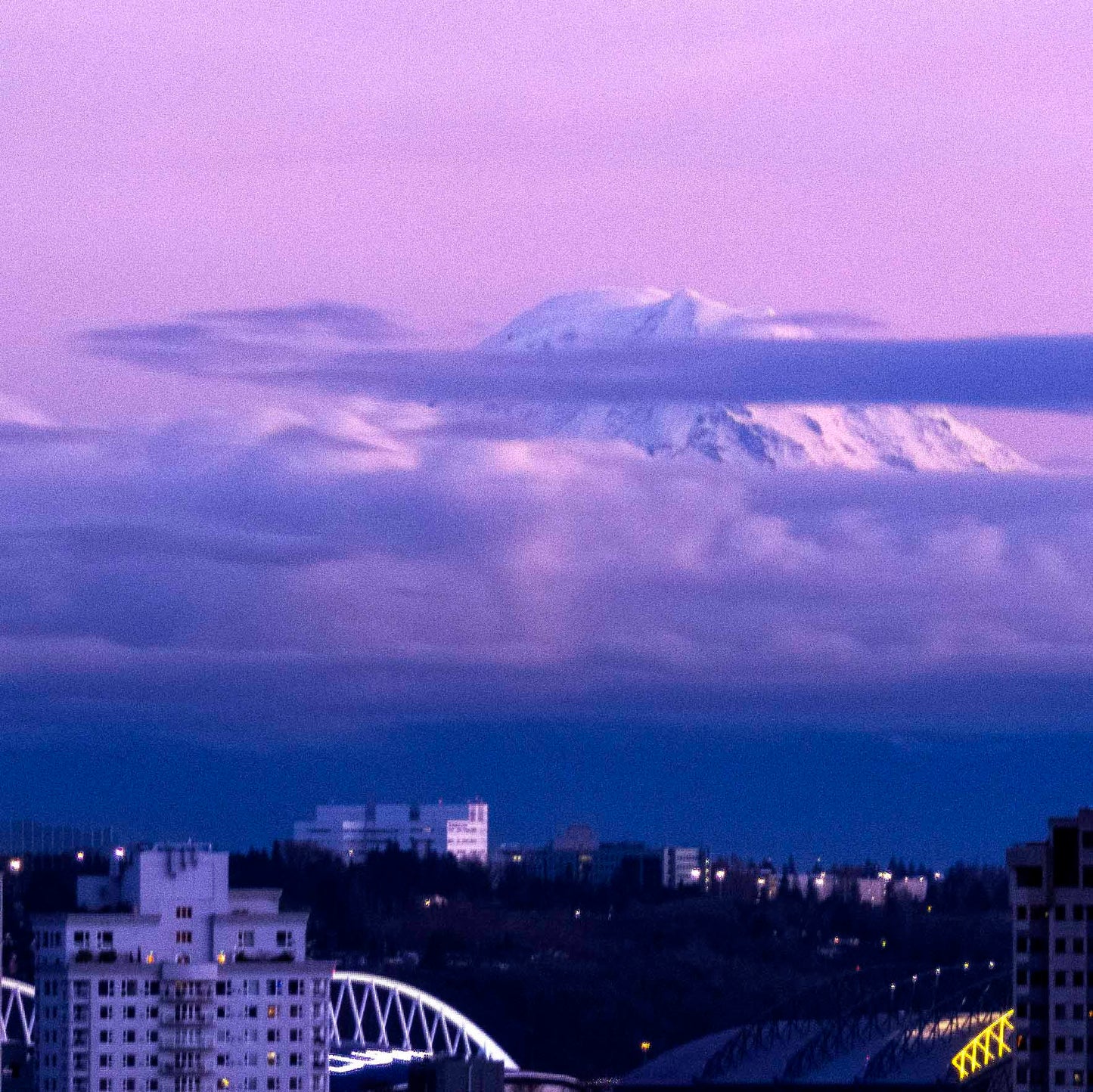 Seattle Space Needle and Mt. Tahoma Shower Curtain